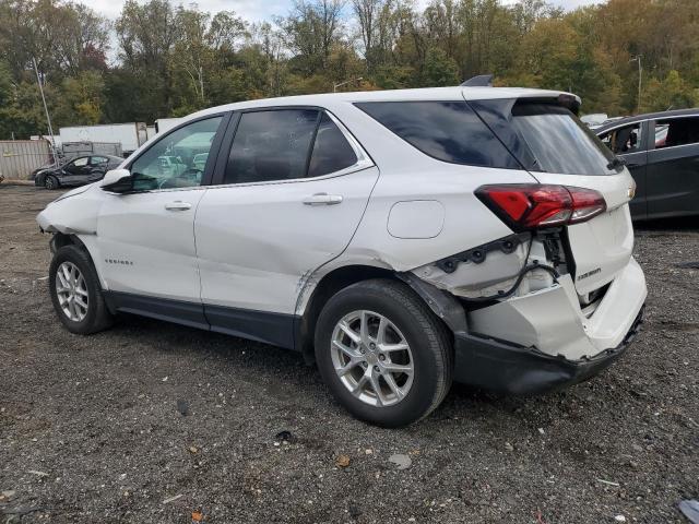 3GNAXUEG4RL237594 - 2024 CHEVROLET EQUINOX LT 白色 照片 2