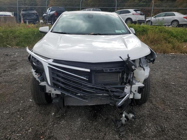 3GNAXUEG4RL237594 - 2024 CHEVROLET EQUINOX LT 白色 照片 5