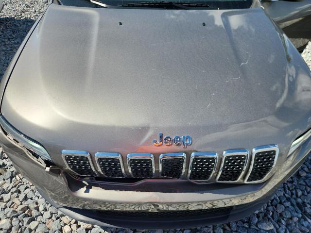 1C4PJLCB4KD206007 - 2019 JEEP CHEROKEE LATITUDE ნაცრისფერი ფოტო 12