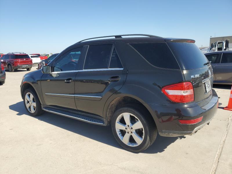 4JGBB8GBXAA621438 - 2010 MERCEDES-BENZ ML 350 4MATIC BLACK photo 2