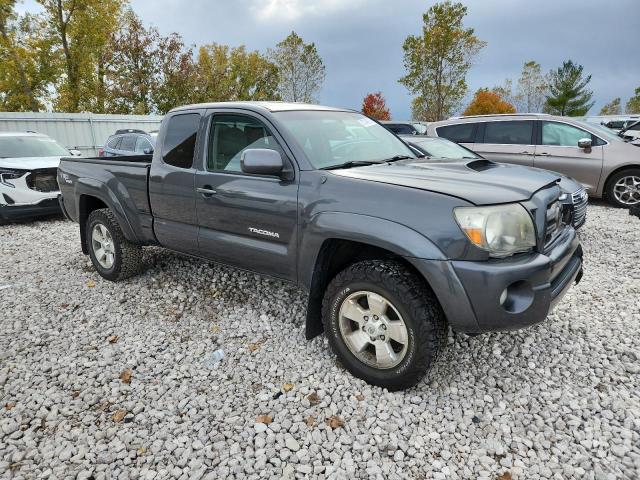 5TEUU42N29Z618939 - 2009 TOYOTA TACOMA ACCESS CAB Գրաֆիտ լուսանկար 4