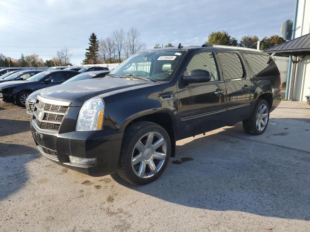 2013 CADILLAC ESCALADE ESV PLATINUM, 