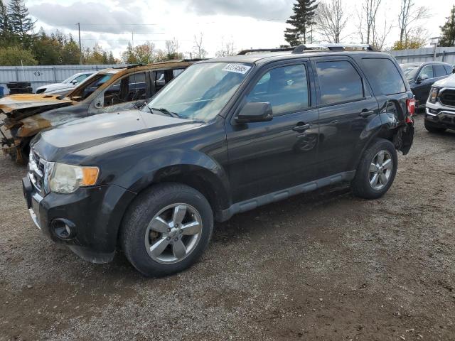 2011 FORD ESCAPE LIMITED, 