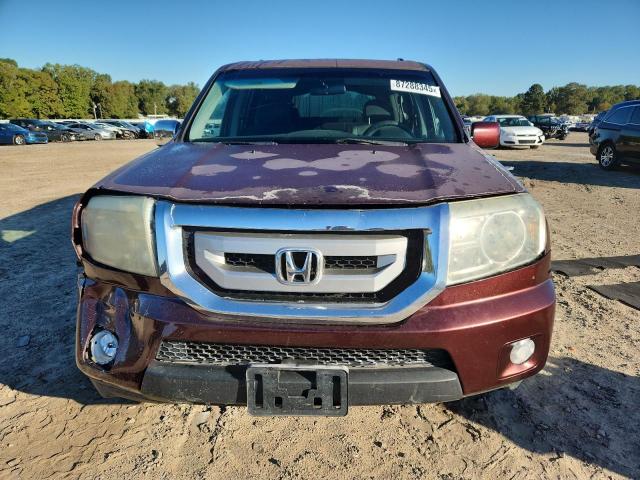 5FNYF3H41BB012799 - 2011 HONDA PILOT EX 勃艮第红 照片 5