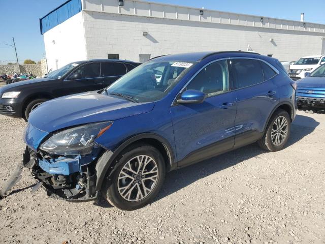 2022 FORD ESCAPE SEL, 
