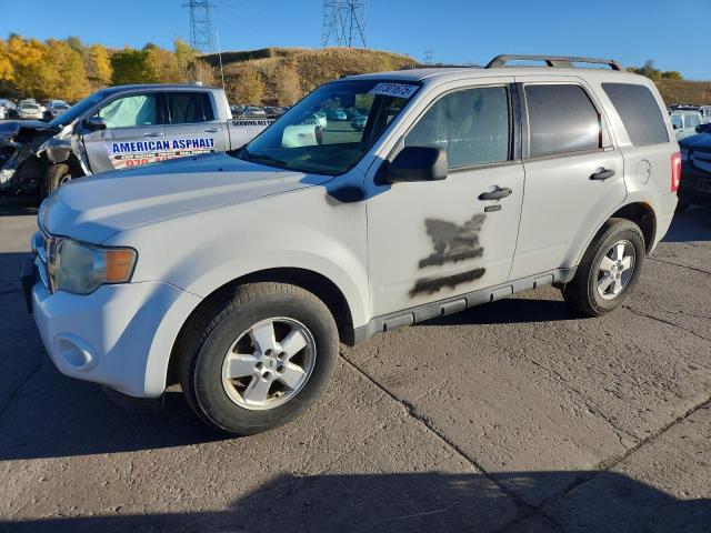 2010 FORD ESCAPE XLT, 