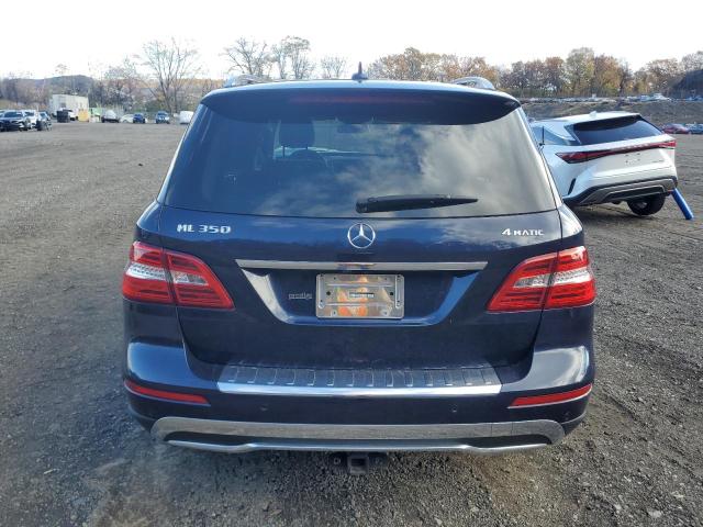 4JGDA5HB0EA419707 - 2014 MERCEDES-BENZ ML 350 4MATIC BLUE photo 6
