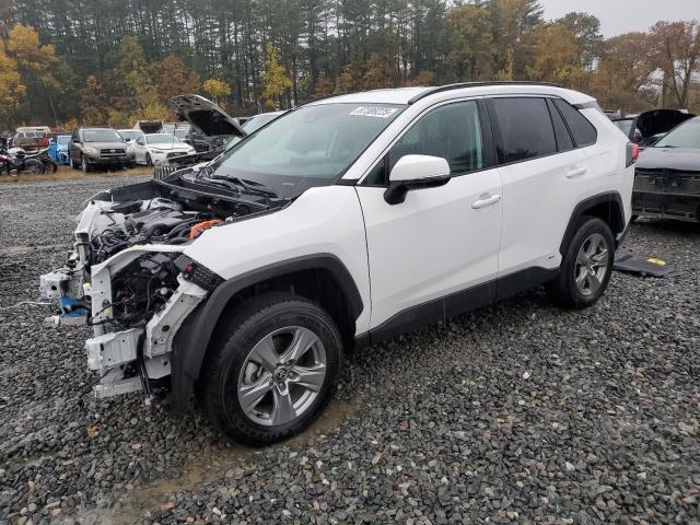 2024 TOYOTA RAV4 XLE, 