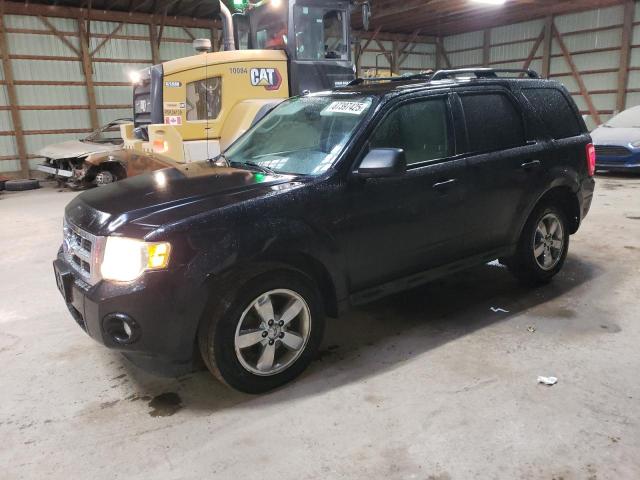 2011 FORD ESCAPE XLT, 