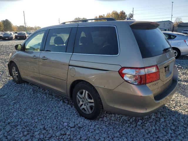 5FNRL38716B443172 - 2006 HONDA ODYSSEY EXL GOLD photo 2