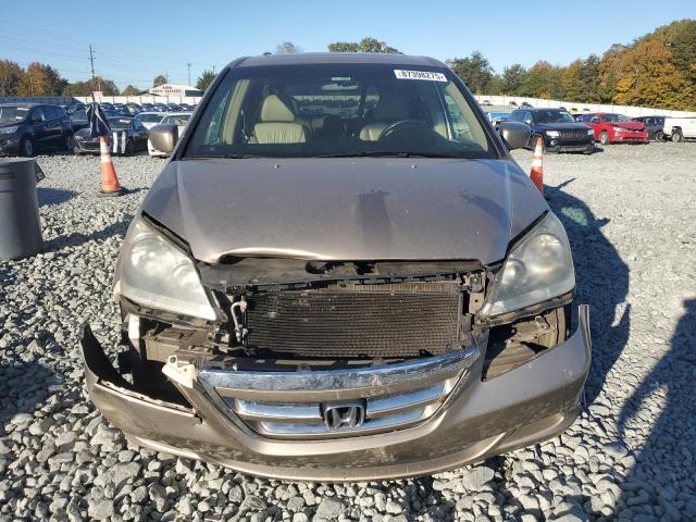 5FNRL38716B443172 - 2006 HONDA ODYSSEY EXL GOLD photo 5