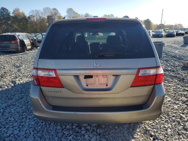 5FNRL38716B443172 - 2006 HONDA ODYSSEY EXL GOLD photo 6