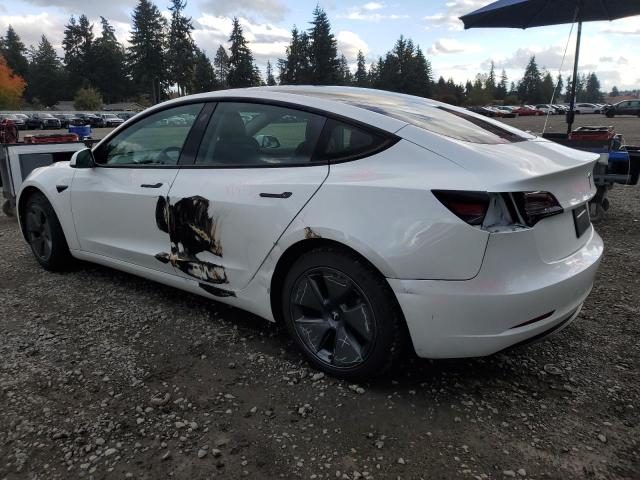 5YJ3E1EA7PF464842 - 2023 TESLA MODEL 3 白色 照片 2