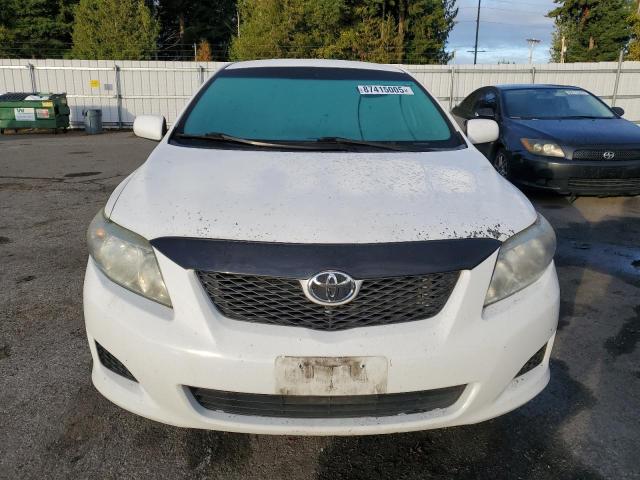 1NXBU4EE9AZ301137 - 2010 TOYOTA COROLLA BASE Beyaz fotoğraf 5