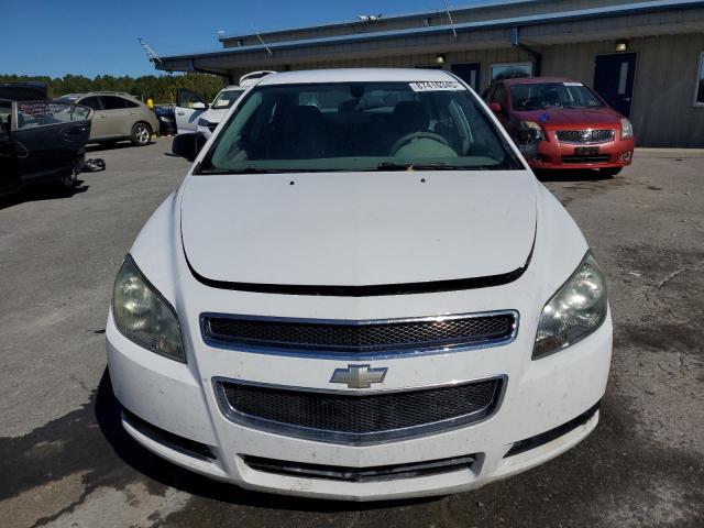 1G1ZA5E03A4104950 - 2010 CHEVROLET MALIBU LS 白色 照片 5