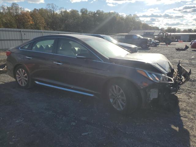 5NPE34AF6HH588508 - 2017 HYUNDAI SONATA SPORT 棕色 照片 4