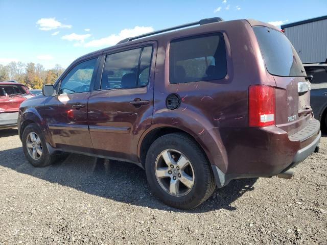 5FNYF48599B018441 - 2009 HONDA PILOT EXL Qəhvəyi foto 2