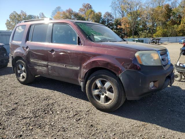 5FNYF48599B018441 - 2009 HONDA PILOT EXL Qəhvəyi foto 4