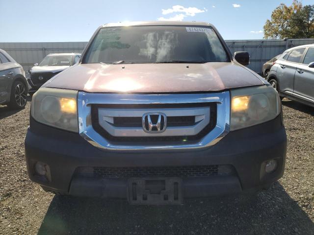 5FNYF48599B018441 - 2009 HONDA PILOT EXL Qəhvəyi foto 5