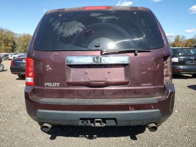 5FNYF48599B018441 - 2009 HONDA PILOT EXL Qəhvəyi foto 6