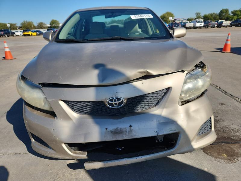 1NXBU40E59Z077979 - 2009 TOYOTA COROLLA BASE Beige Foto 5