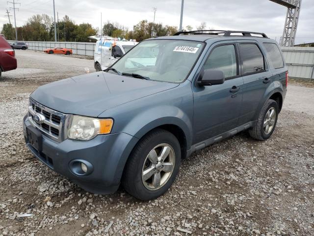 2011 FORD ESCAPE XLT, 