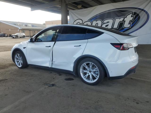 5YJYGDEE2MF158390 - 2021 TESLA MODEL Y WHITE photo 2