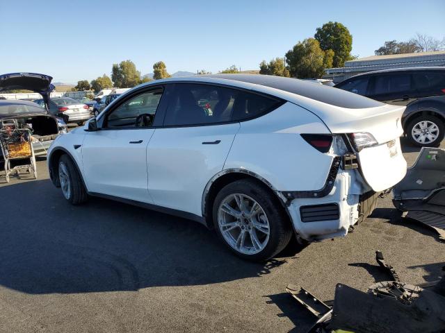 5YJYGAEE0MF231450 - 2021 TESLA MODEL Y WHITE photo 2