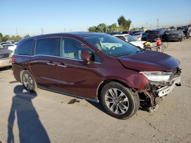 5FNRL6H77MB023883 - 2021 HONDA ODYSSEY EXL BURGUNDY photo 4