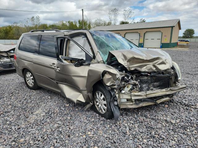 5FNRL3H77AB109415 - 2010 HONDA ODYSSEY EXL Қоңыр фото 4