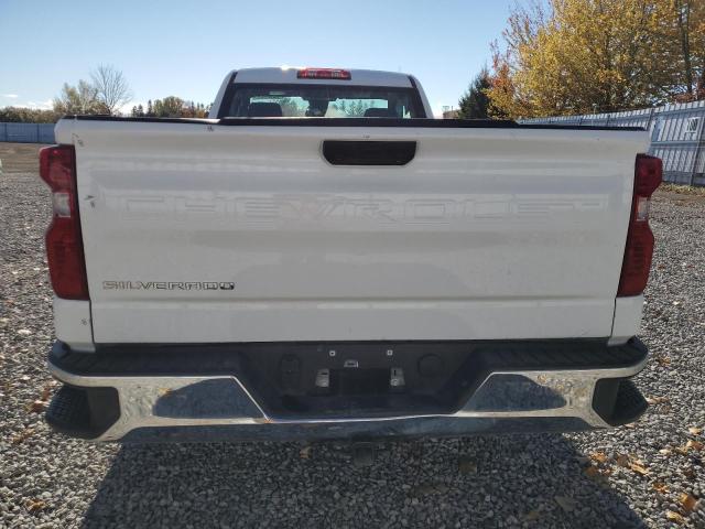 3GCNAAED5RG330438 - 2024 CHEVROLET SILVERADO C1500 WHITE photo 6