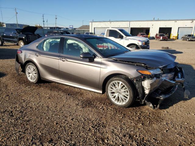 4T1F31AK9LU545811 - 2020 TOYOTA CAMRY XLE GRAY photo 4