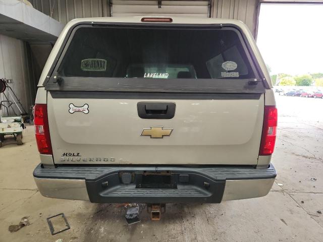 1GCEC14C89Z202195 - 2009 CHEVROLET SILVERADO C1500 SILVER photo 6