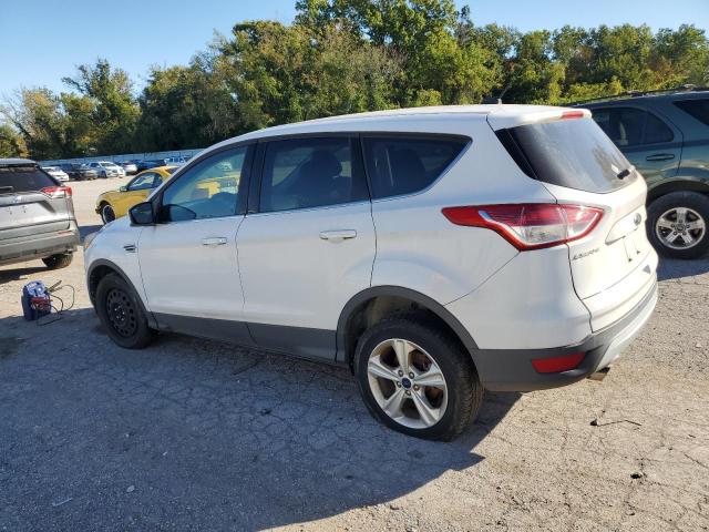 1FMCU9GX4GUB63306 - 2016 FORD ESCAPE SE Ağ foto 2