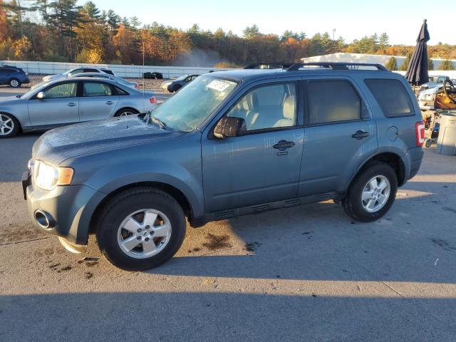 2010 FORD ESCAPE XLT, 