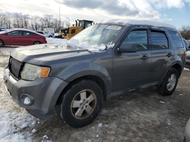 2011 FORD ESCAPE XLT, 