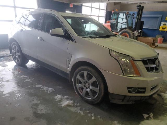 3GYFNEEY8BS542752 - 2011 CADILLAC SRX PERFORMANCE COLLECTION Bej foto 4