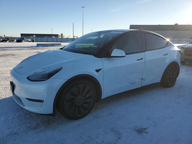 2022 TESLA MODEL Y, null