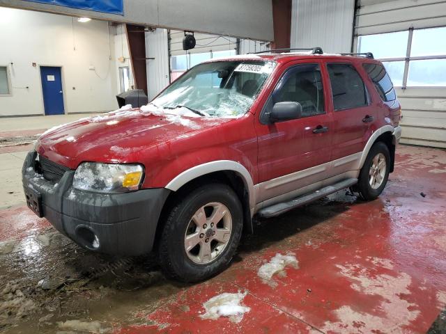 2007 FORD ESCAPE XLT, 