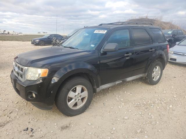 2010 FORD ESCAPE XLT, 