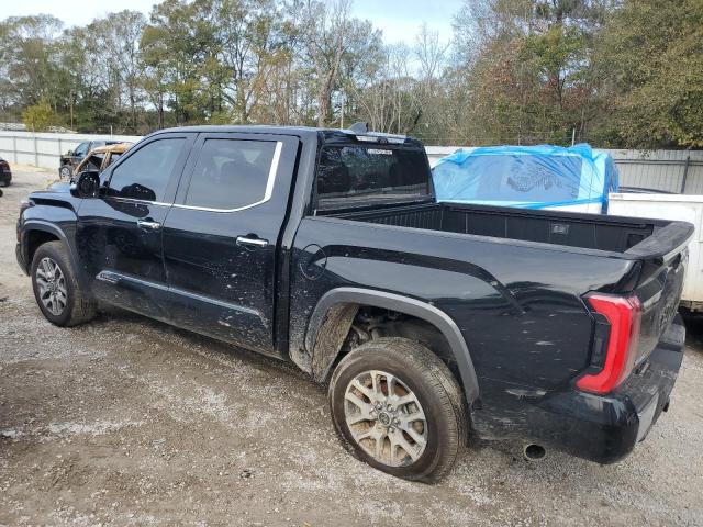 5TFMA5DB5PX124208 - 2023 TOYOTA TUNDRA CREWMAX PLATINUM შავი ფოტო 2