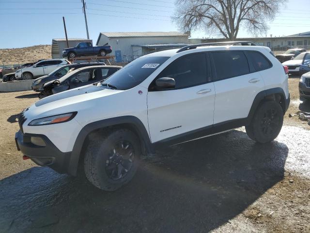 1C4PJMBS1HW622763 - 2017 JEEP CHEROKEE TRAILHAWK WHITE photo 1