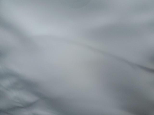 1C6RR7YT1GS184729 - 2016 RAM 1500 REBEL BLACK photo 10