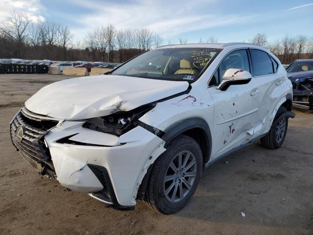 JTJBARBZ1K2179854 - 2019 LEXUS NX 300 BASE თეთრი ფოტო 1