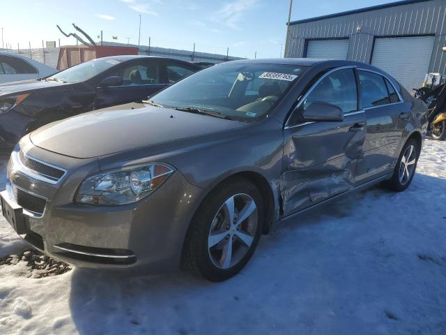 1G1ZC5E11BF141312 - 2011 CHEVROLET MALIBU 1LT TAN photo 1