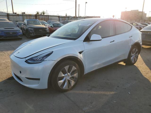 2021 TESLA MODEL Y, null