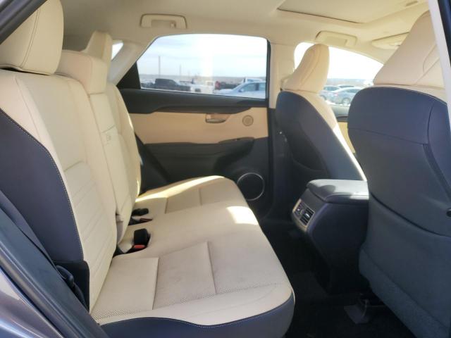 JTJGARBZ9M2183384 - 2021 LEXUS NX 300 BASE ნაცრისფერი ფოტო 11