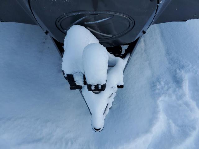 4YDT31629G1530214 - 2016 KEYSTONE SPRINTER 棕色 照片 7