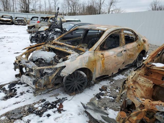 4T1G11BK7RU124462 - 2024 TOYOTA CAMRY SE NIGHT SHADE BURN photo 1