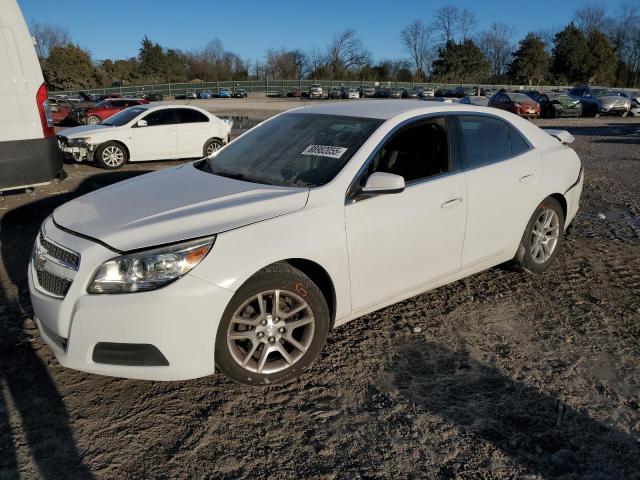 1G11D5SR6DF156248 - 2013 CHEVROLET MALIBU 1LT WHITE photo 1